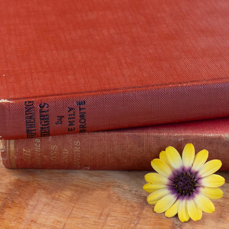 Vintage and Collectable Books