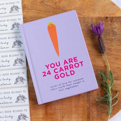 You Are 24 Carrot Gold - Pyramid | Pre-loved Giftable Book