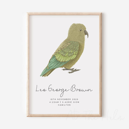 Framed print of a green kea bird with birth details on a white background